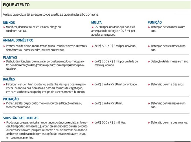 Veja o que diz a lei a respeito de práticas que ainda são comuns | 