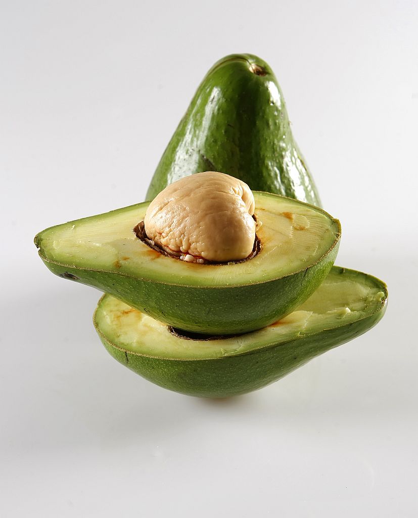 | Rodolfo Bührer/Gazeta do Povo