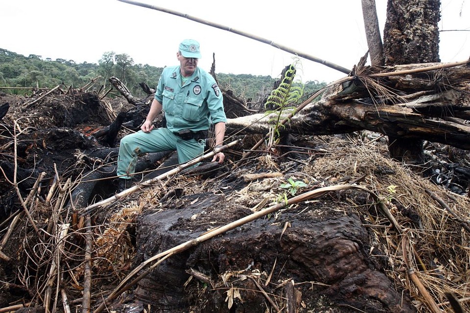 Fiscal mostra área desmatada no município de Pinhão: operação deve visitar 145 pontos na região Centro-Sul do Paraná com suspeita de crime ambiental | Henry Milleo/Gazeta do Povo