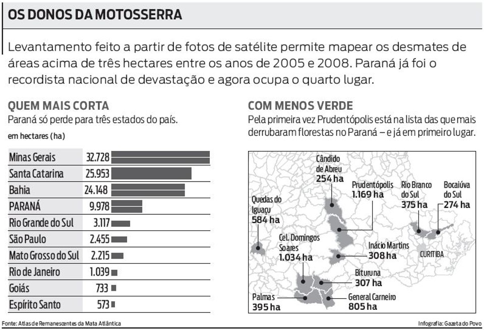 Confira os números do desmatamento | 