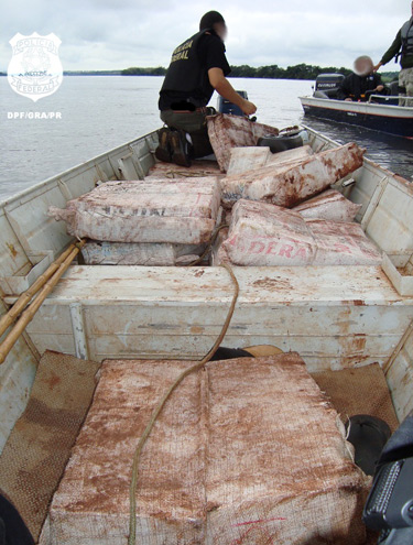 505 quilos de maconha são apreendidos no Paraná | Divulgação/PF