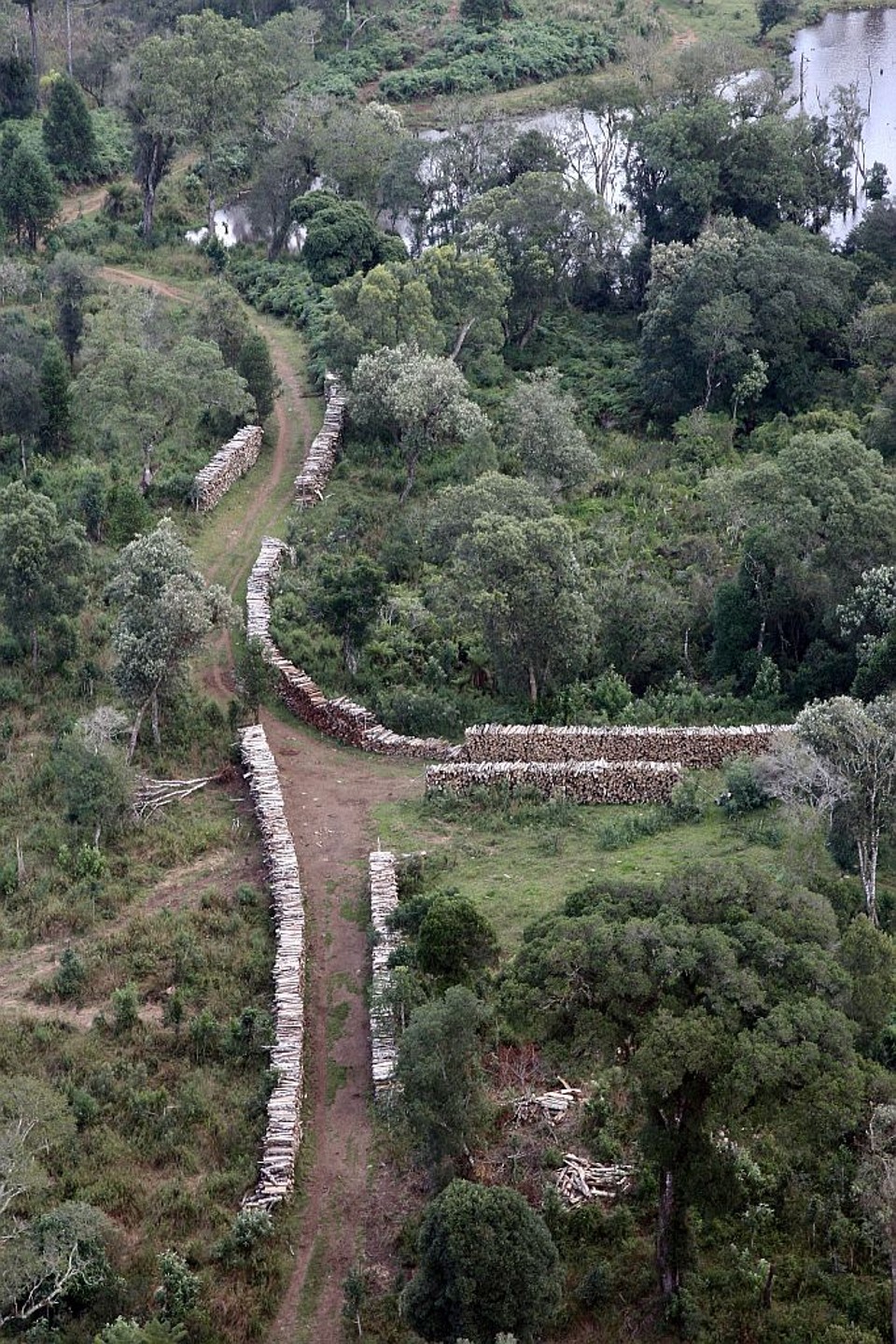 Desmatamento perto de Palmas: fiscais sobrevoaram áreas e agora fazem trabalho de campo para identificar responsáveis por problemas encontrados | Herny Milléo/Gazeta do Povo