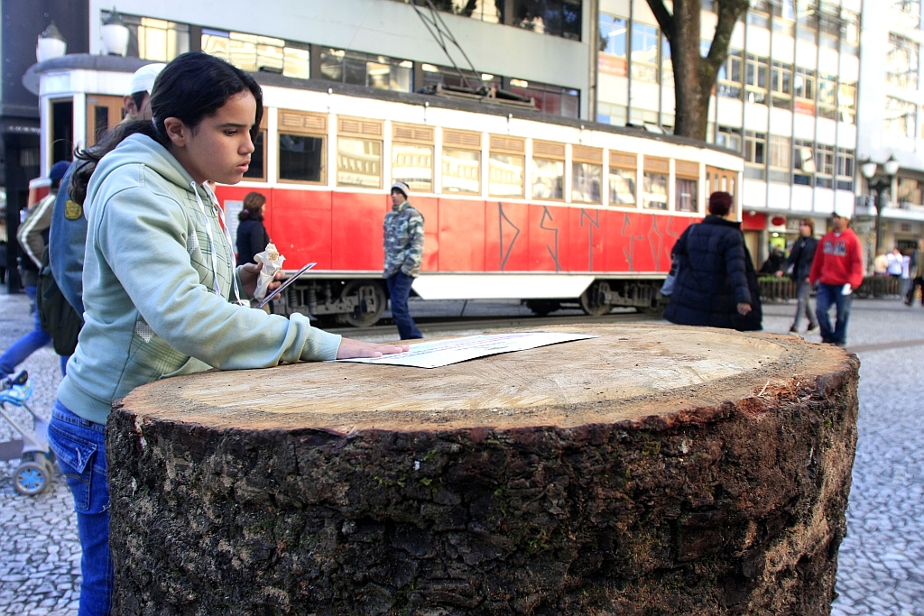 Madeira cortada ilegalmente em General Carneiro é exposta em Curitiba: ideia é chocar a população | Daniel Derevecki/Gazeta do Povo