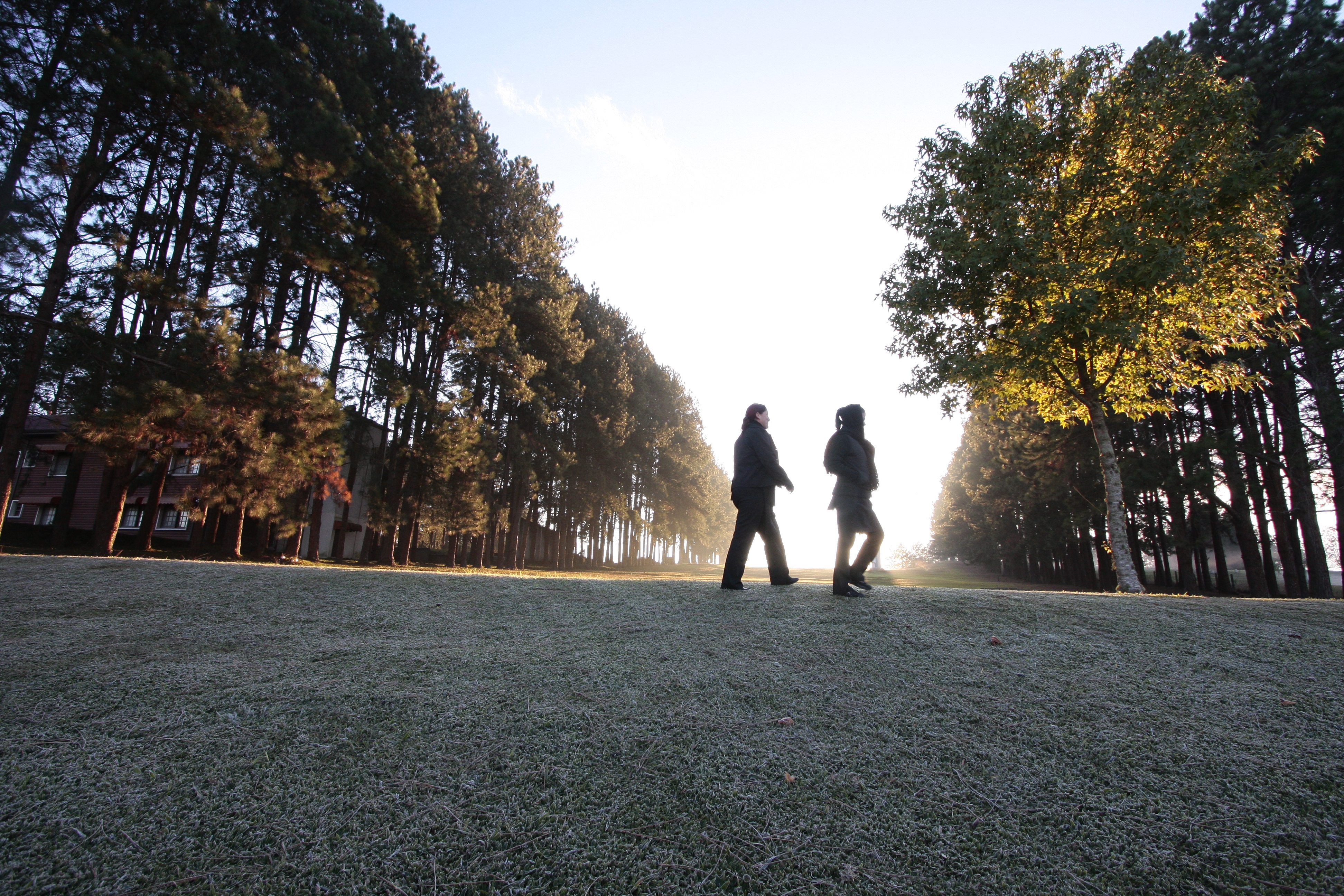 Frio em Curitiba: máxima não deve passar dos 10ºC nesta terça | Daniel Castellano/Gazeta do Povo