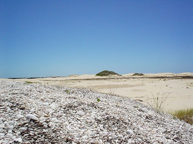 Sambaqui de Figueirinha, em Jaguaruna, litoral sul-catarinense | 