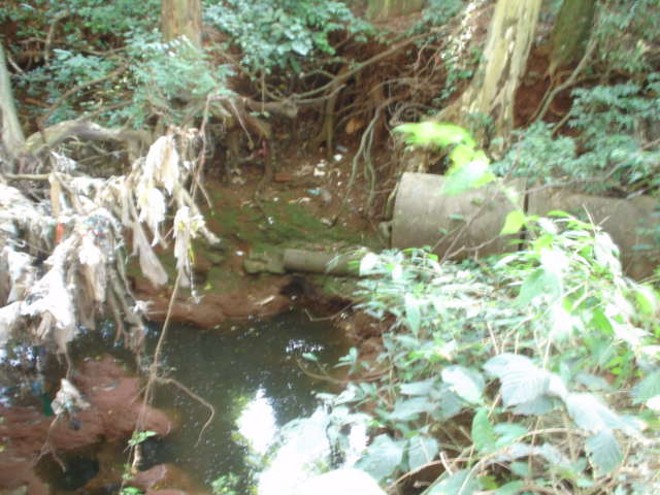 Segundo o MP, a circulação de pessoas colocaria em risco a integridade física das mesmas | 