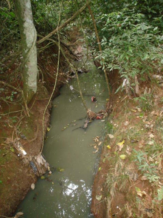 A rede de esgosto leva lixo para dentro do Horto | 