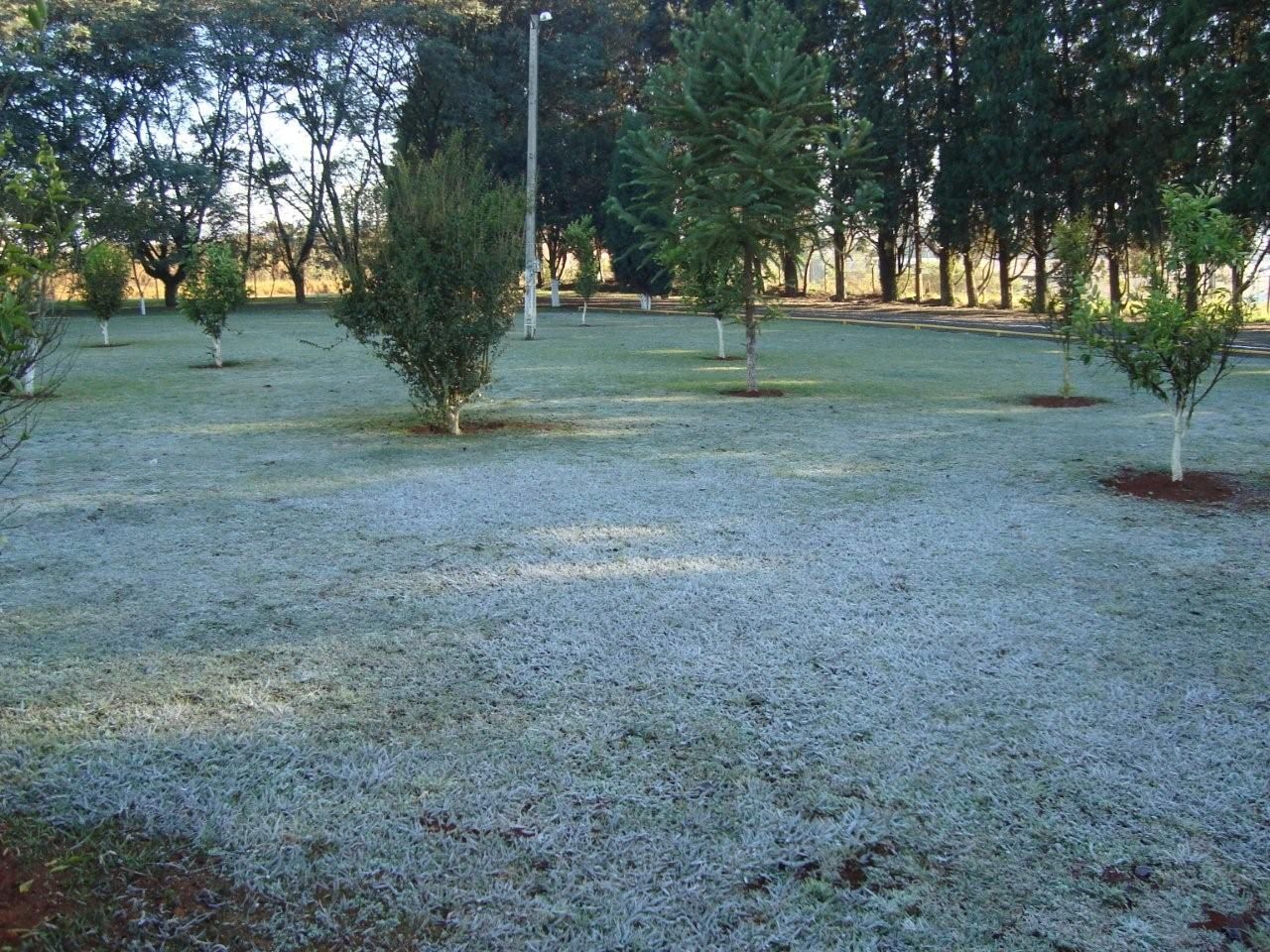 O internauta Luciano Schmidt registrou a geada que caiu sobre Ponta Grossa na manhã desta quinta-feira. Previsão é de que esquente a partir desta tarde | Luciano Schmidt