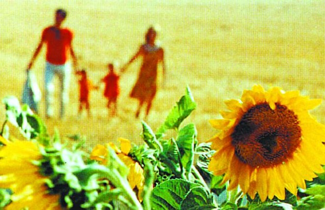 As Duas Faces da Felicidade fala pelas imagens | 