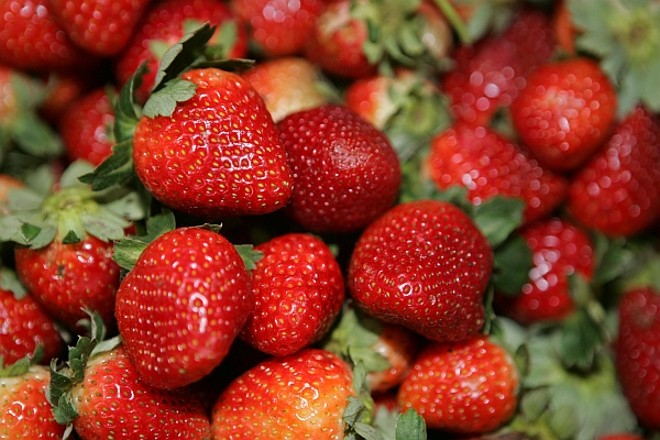 Os morangos não podem ser descascados, então, o melhor é lavar com bastante água |