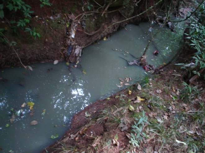 Esgoto é jogado livremente na área de mata nativa | 