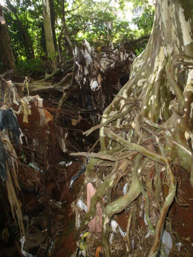 Quatro anos após determinação judicial de recuperação do local, nada foi feito | 