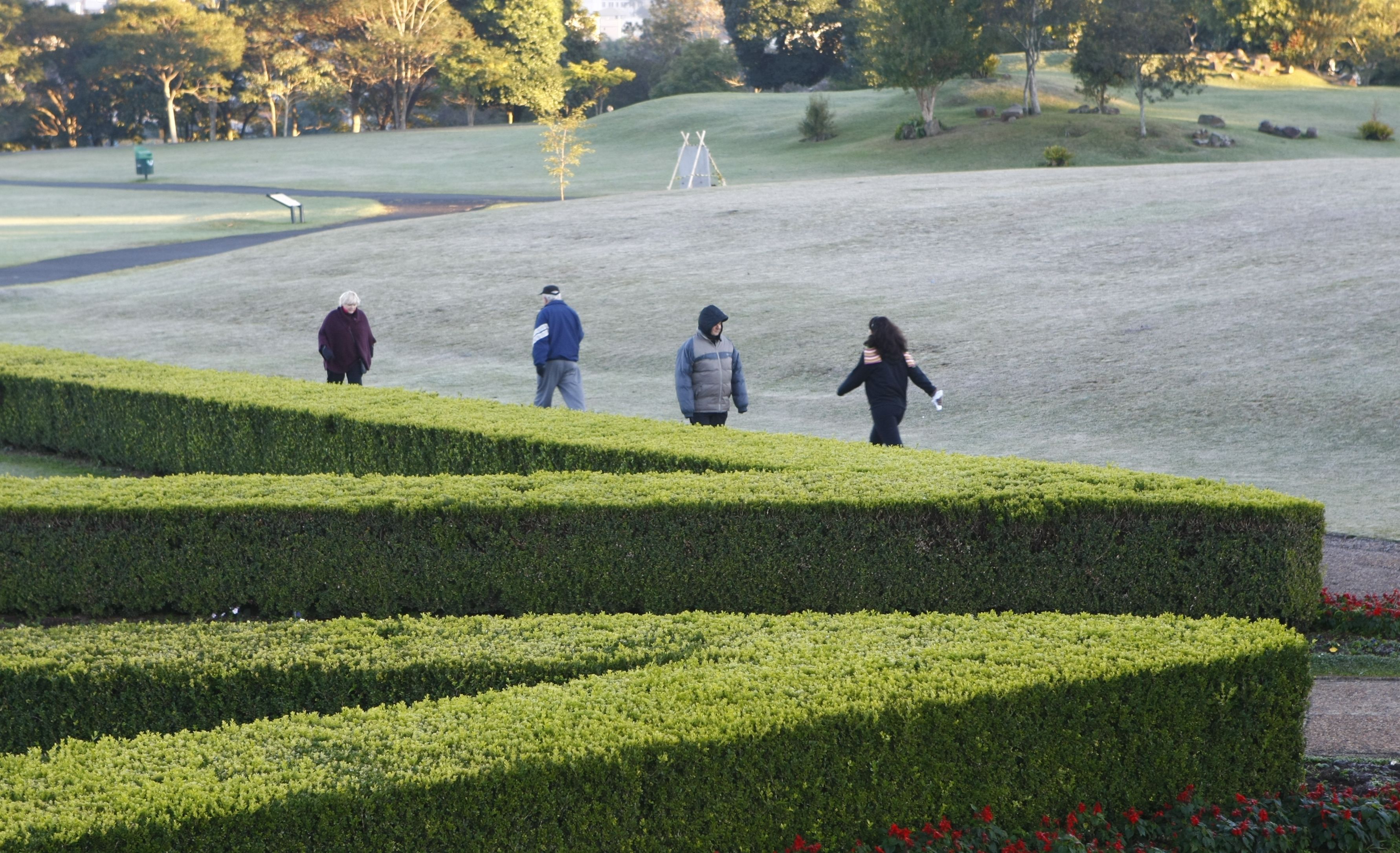 Geada mudou a paisagem do Jardim Botânico, um dos principais pontos turísticos de Curitiba | Aniele Nascimento/Gazeta do Povo