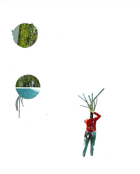 Intervenção em fotografia, de Dach | Divulgação