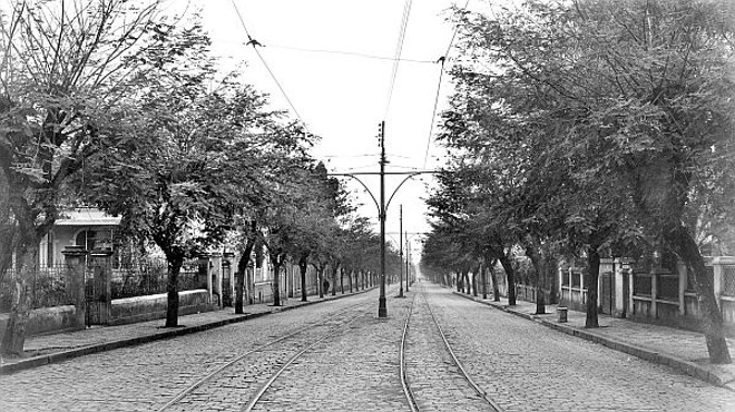 Rua Comendador Araújo, completamente arborizada. Foto de 1939 |