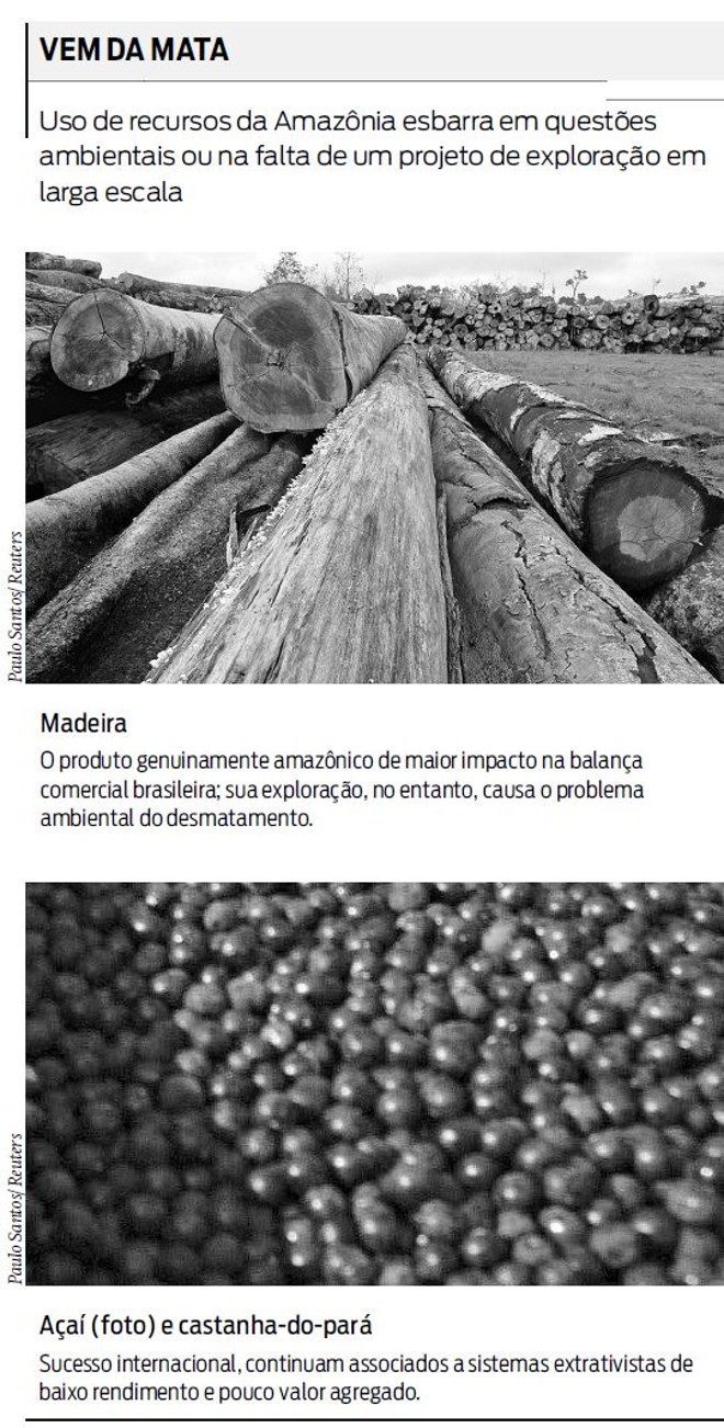 Uso de recursos da Amazônia esbarra em questões ambientais | 