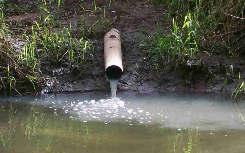 Resíduos poluentes eram despejados diretamente nas águas do riacho | Divulgação/Força Verde