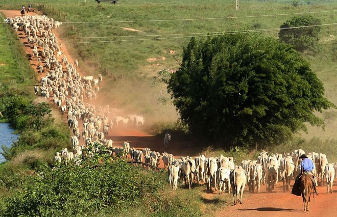 Fazenda Espírito Santo, no Pará, é uma das 27 propriedades de Daniel Dantas sequestradas pela Justiça Federal | Wilton Junior/AE