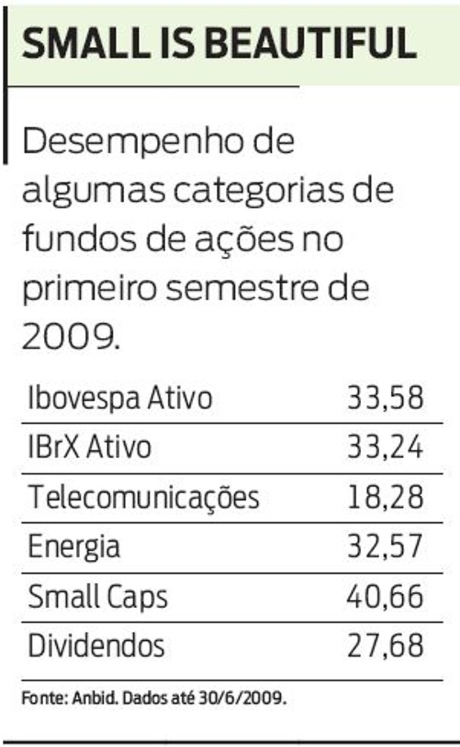 Confira o desempenho de algumas categorias de fundos de ações |