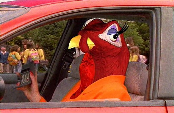 Campanha na década de 1990 relacionava o comportamento dos motoristas no trânsito com figuras de animais. Será que a coisa mudou? | 