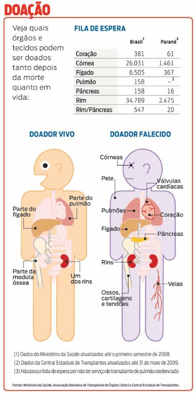 Veja quais órgãos e tecidos podem ser doados tanto depois da morte quanto em vida | 