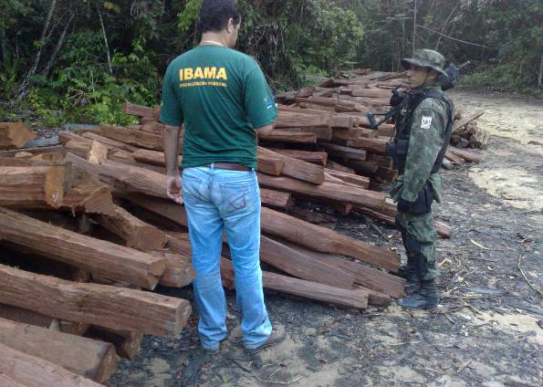 O capu está escasso no estado por ser explorado ilegalmente | Divulgação / Ibama