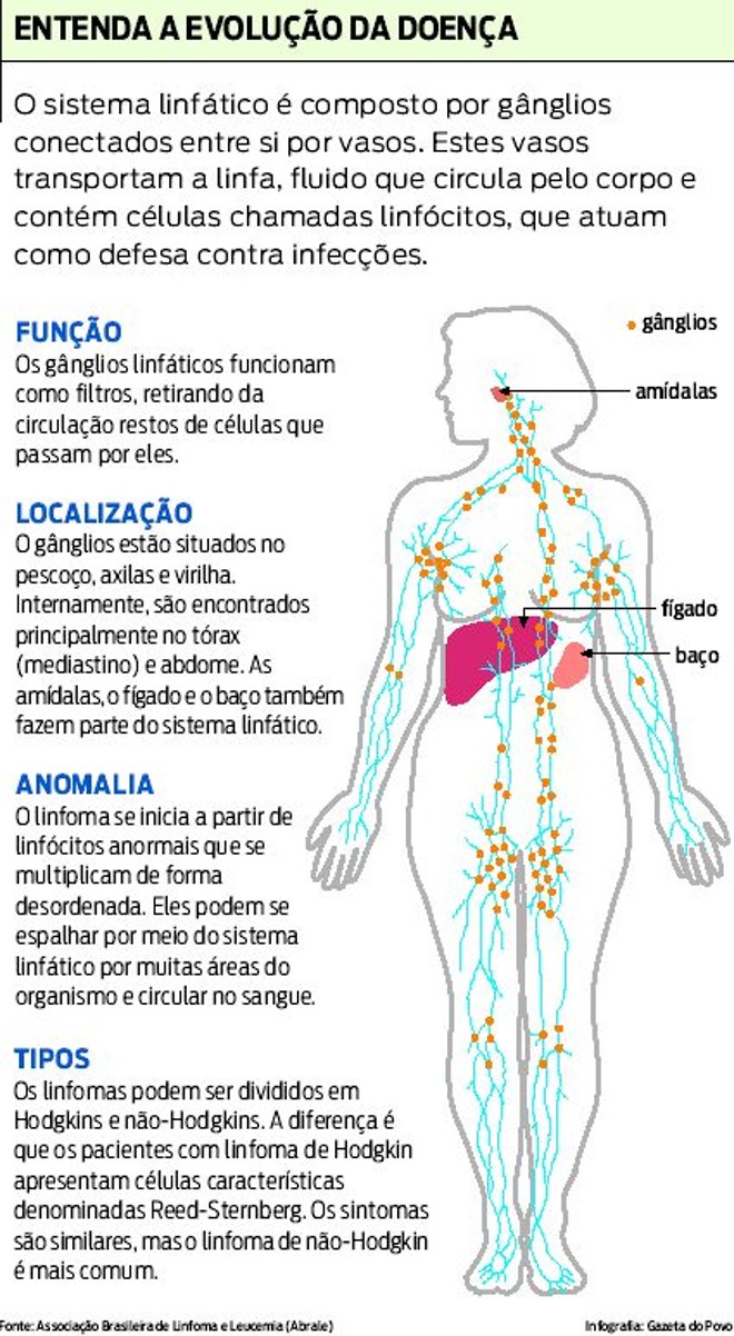Entenda a evolução da doença | 