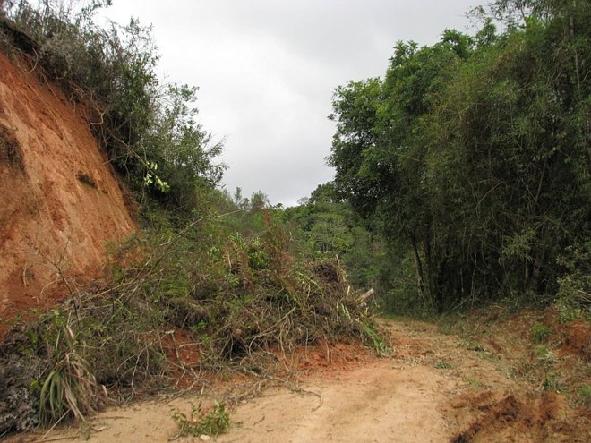 Excesso de chuvas derrubou barrancos e árvores e bloqueou estradas rurais |