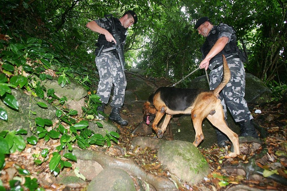 Policiais fazem buscas no Morro do Boi, em Caiobá, três dias depois do crime: falta de provas prejudica investigação | Daniel Castellano/Arquivo da Gazeta do Povo
