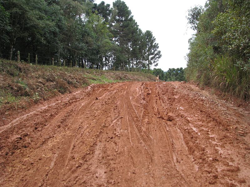 Prefeitura espera conseguir recursos do governo estadual para arrumar os estragos | Bueno/Divulgação prefeitura de Castro