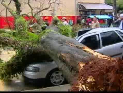 O vento e a chuva teriam comprometido a estrutura da árvore que acabou caindo sobre o carro |