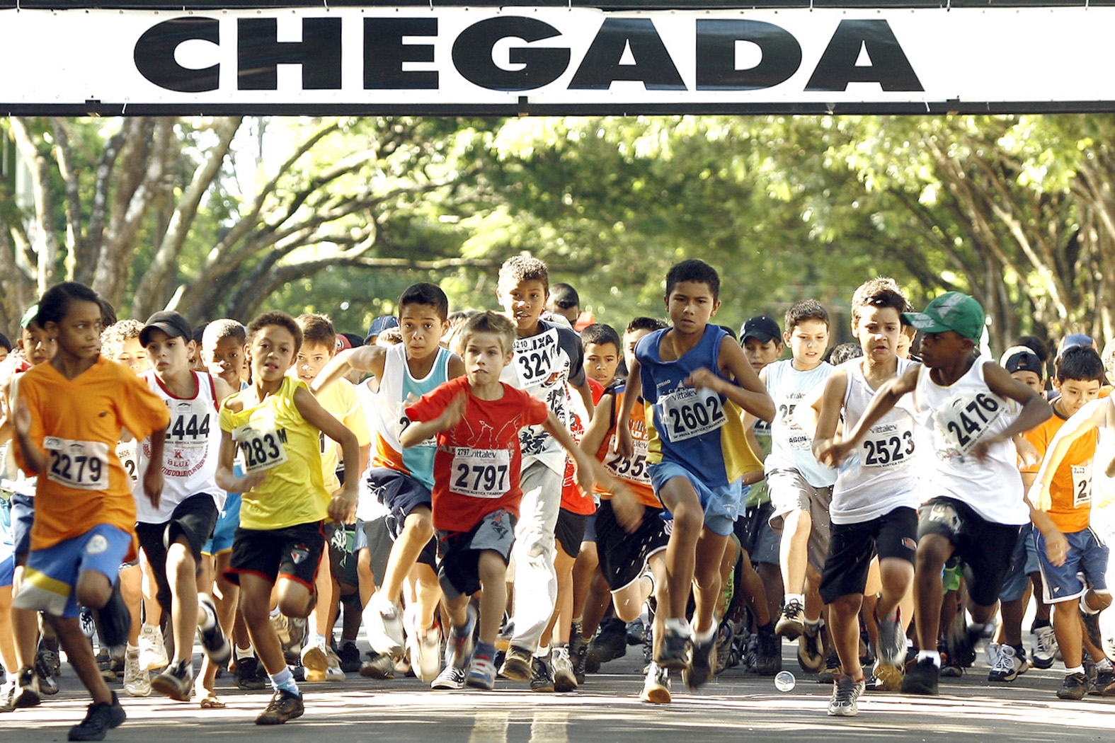 Serão disputadas seis categorias: mirim, infantil, juvenil, adulto e master | Divulgação