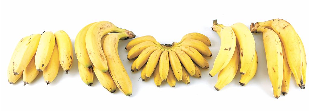 Da esquerda para a direita, maçã, nanica, ouro, prata e da terra | Valterci Santos/Gazeta do Povo