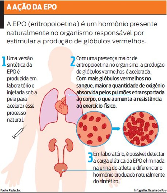Veja que a EPO é responsável por estimular a produção de glóbulos vermelhos | 