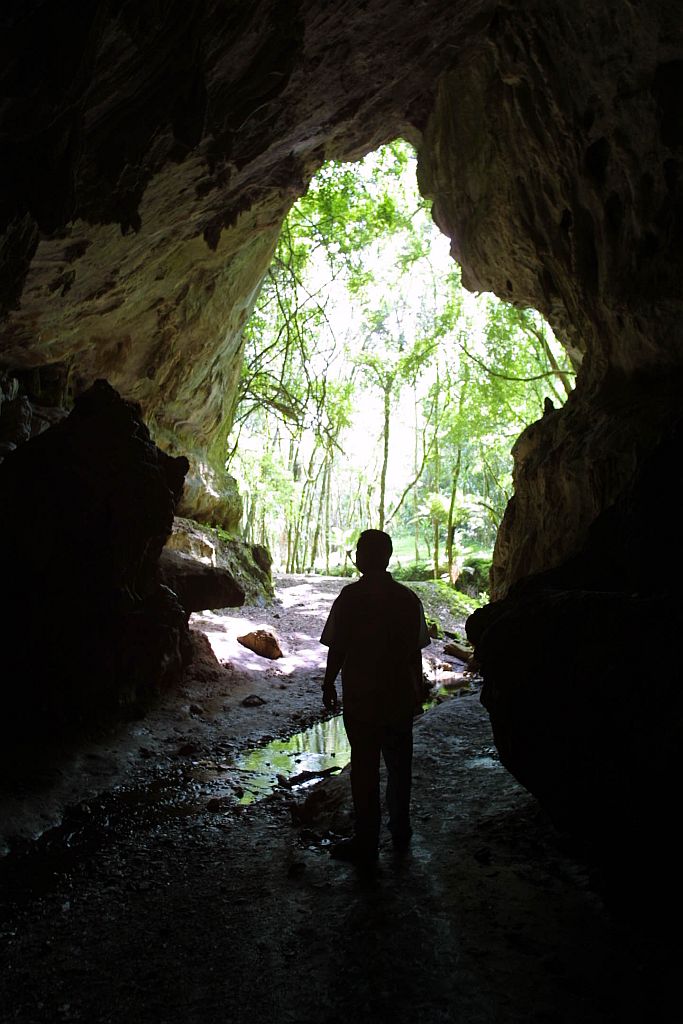 Parque estadual de Campinhos, na região de Curitiba: aberto à visitação | Antonio Costa/ Gazeta do Povo
