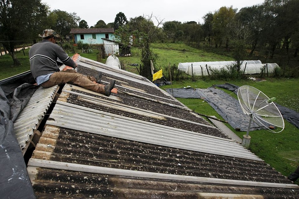 Os tetos de quatro granjas vieram abaixo em Tijucas do Sul por causa das chuvas | Jonathan Campos/Gazeta do Povo