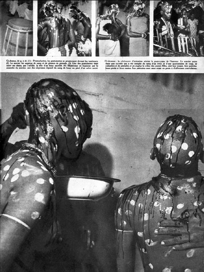 | Divulgação