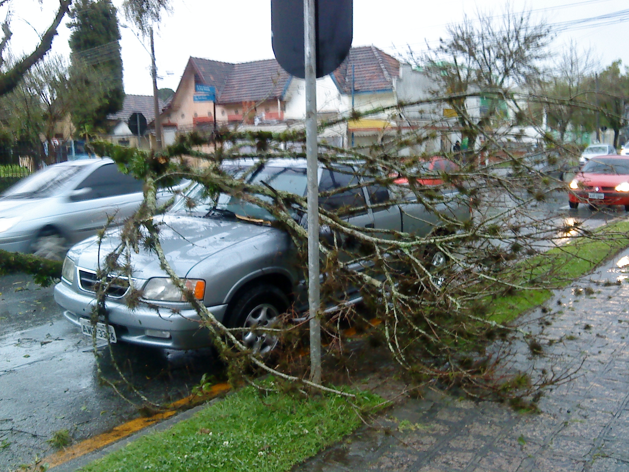 Foto de José Cydro de Lima Neto mostrando a árvore caída sobre uma caminhonete na Rua Professor Brandão, no Alto da XV | José Cydro de Lima Neto