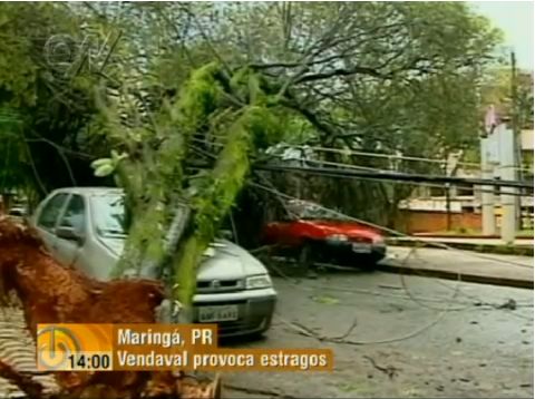 A queda de uma única árvore na Avenida Curitiba atingiu seis carros | RPC TV Cultura