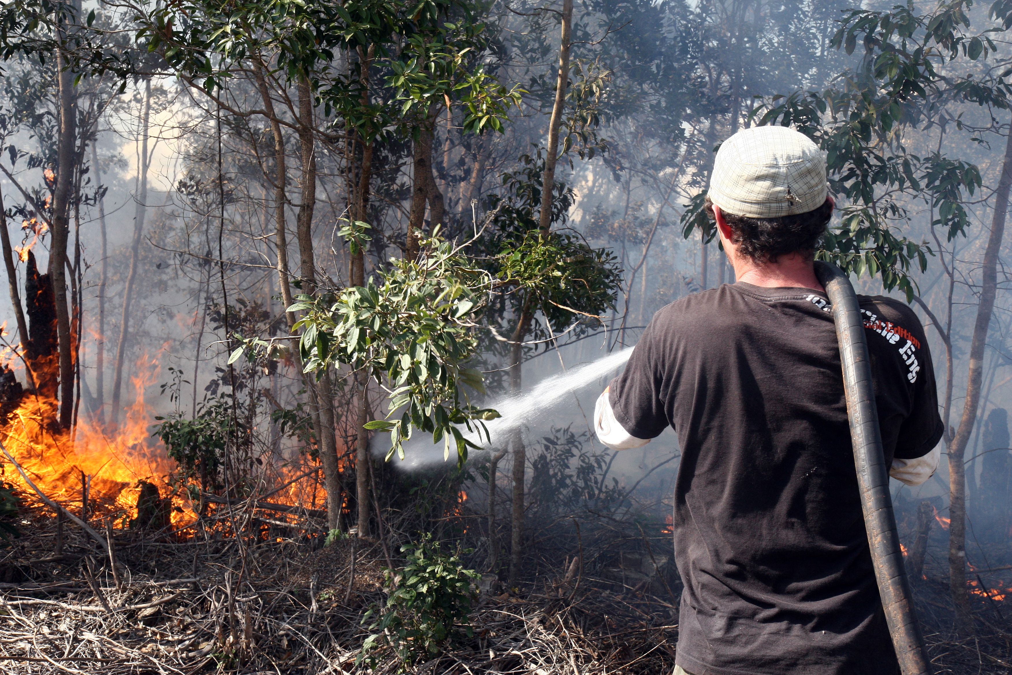 Bombeiros, equipes do Instituto Ambiental do Paraná (IAP) e funcionários do parque foram mobilizados para combater o fogo | Henry Milleo - Gazeta do Povo