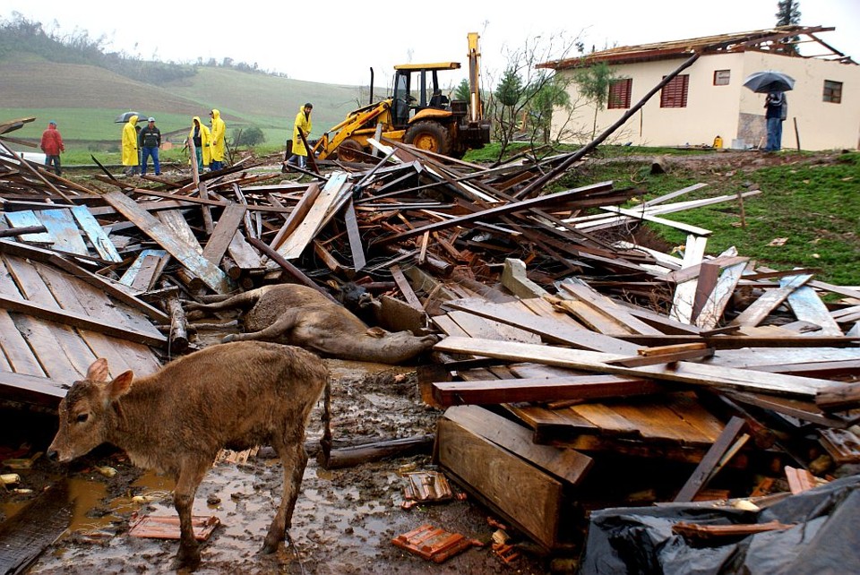 Os três estados da Região Sul tiveram 23 mil casas danificadas. Em Santa Catarina, desabamento matou animais |