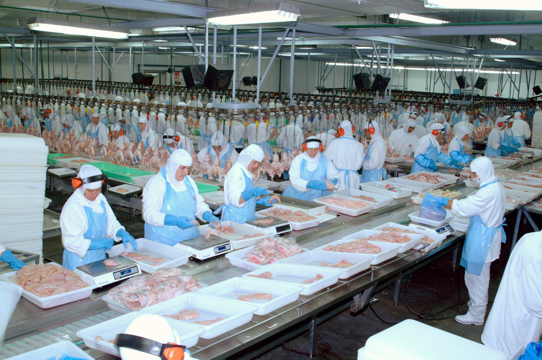 Portaria do Ministério da Agricultura determina que a quantidade de água não pode ser superior a 8% do peso total do produto | Divulgação