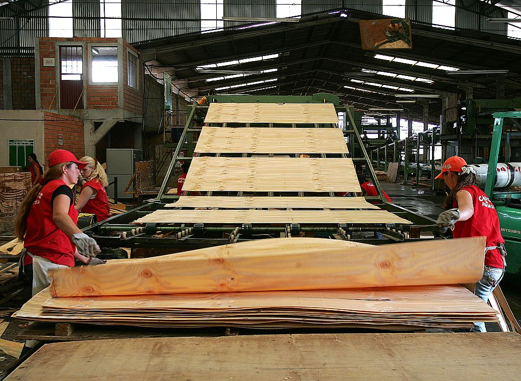 Fábrica de compensados em Palmas: cidades do Sul do estado foram as que mais perderam empregos | Valterci Santos/ Gazeta do Povo