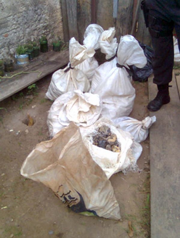 PF apreendeu 300 quilos de ametista, além de diamantes e topázios | Divulgação/Polícia Federal