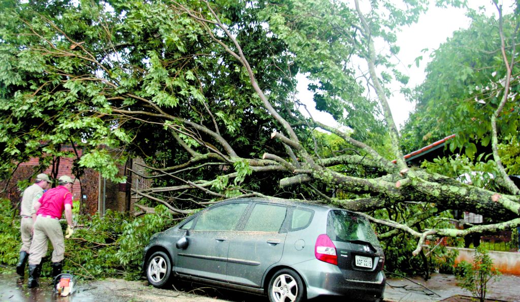 Campo Mourão foi uma das cidades mais atingidas pelas chuvas, com várias árvores arrancadas | Dirceu Portugal/Gazeta do Povo