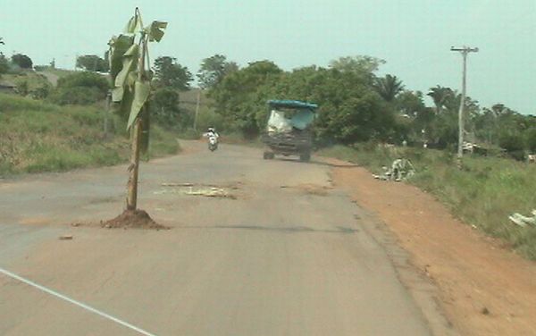 Manifestantes plantam bananeira no meio de rodovia em protesto | Reprodução/TV Ji-Paraná