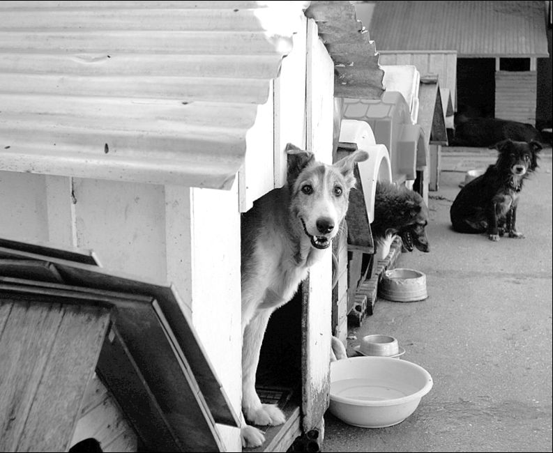 | Jonathan Campos/ Gazeta do Povo