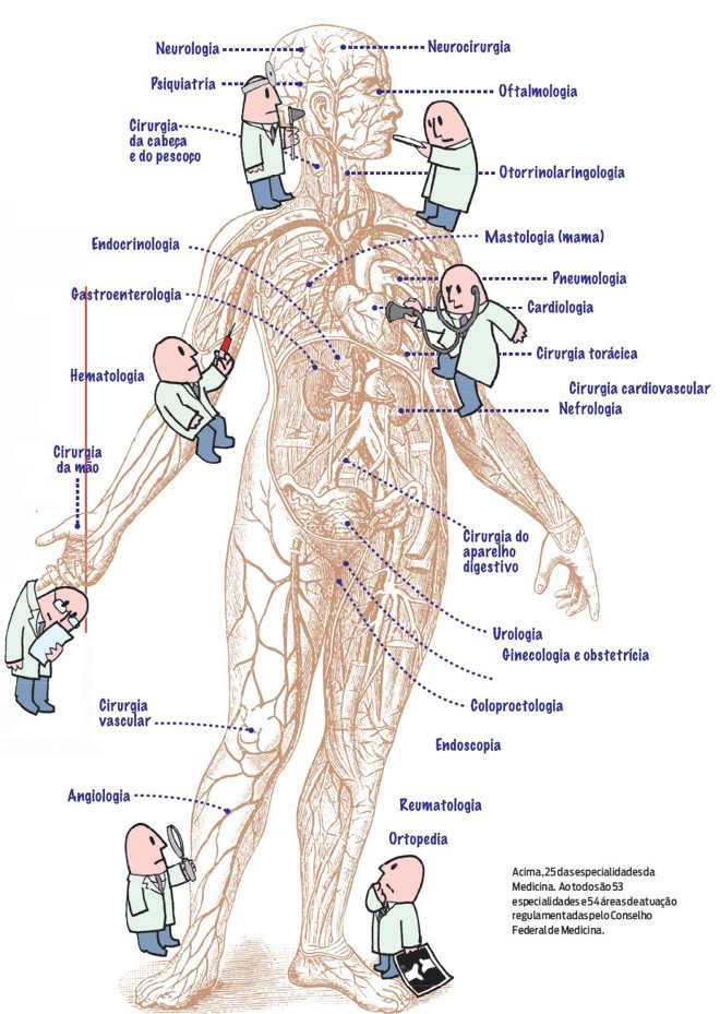 Confira algumas das 25 especialidades de Medicina | 