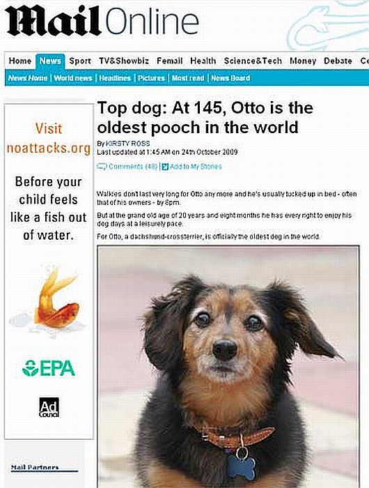 Cão "Otto" foi coroado como o mais velho do mundo | Reprodução/Daily Mail