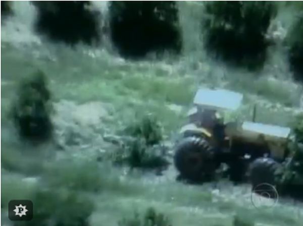 Trator avança sobre plantação de laranja em fazenda | Reprodução / TV Globo